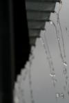 <img100*0:stuff/z/73640/rainwater%2520reference/i1265225091_2.jpg>
