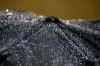 <img100*0:stuff/z/73640/rainwater%2520reference/i1265225091_4.jpg>