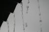 <img100*0:stuff/z/73640/rainwater%2520reference/i1265225091_5.jpg>