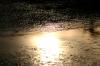 <img100*0:stuff/z/73640/rainwater%2520reference/i1265225091_6.jpg>