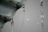<img100*0:stuff/z/73640/rainwater%2520reference/i1265225092_10.jpg>