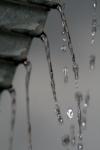 <img100*0:stuff/z/73640/rainwater%2520reference/i1265225092_8.jpg>