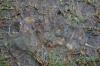 <img100*0:stuff/z/73640/rainwater%2520reference/i1267498559_1.jpg>