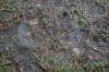<img100*0:stuff/z/73640/rainwater%2520reference/i1267498559_2.jpg>