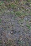 <img100*0:stuff/z/73640/rainwater%2520reference/i1267498560_3.jpg>