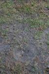 <img100*0:stuff/z/73640/rainwater%2520reference/i1267498561_4.jpg>