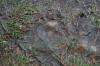 <img100*0:stuff/z/73640/rainwater%2520reference/i1267498562_6.jpg>