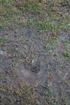 <img100*0:stuff/z/73640/rainwater%2520reference/i1267498563_7.jpg>