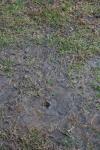 <img100*0:stuff/z/73640/rainwater%2520reference/i1267498564_8.jpg>