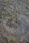 <img100*0:stuff/z/73640/rainwater%2520reference/i1267498565_9.jpg>