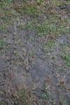 <img100*0:stuff/z/73640/rainwater%2520reference/i1267498566_11.jpg>