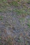 <img100*0:stuff/z/73640/rainwater%2520reference/i1267498567_12.jpg>