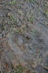 <img100*0:stuff/z/73640/rainwater%2520reference/i1267498568_13.jpg>