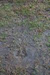 <img100*0:stuff/z/73640/rainwater%2520reference/i1267498570_15.jpg>