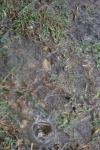 <img100*0:stuff/z/73640/rainwater%2520reference/i1267498572_17.jpg>
