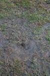 <img100*0:stuff/z/73640/rainwater%2520reference/i1267498573_18.jpg>