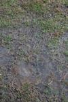 <img100*0:stuff/z/73640/rainwater%2520reference/i1267498575_21.jpg>