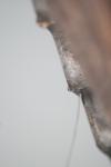 <img100*0:stuff/z/73640/rainwater%2520reference/i1275877946_3.jpg>