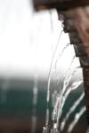 <img100*0:stuff/z/73640/rainwater%2520reference/i1275877947_10.jpg>