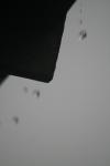 <img100*0:stuff/z/73640/rainwater%2520reference/i1275877947_11.jpg>