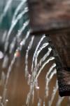 <img100*0:stuff/z/73640/rainwater%2520reference/i1275877947_14.jpg>