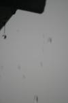 <img100*0:stuff/z/73640/rainwater%2520reference/i1275877947_15.jpg>