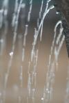 <img100*0:stuff/z/73640/rainwater%2520reference/i1275877947_4.jpg>