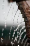 <img100*0:stuff/z/73640/rainwater%2520reference/i1275877947_6.jpg>