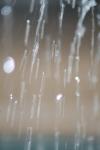 <img100*0:stuff/z/73640/rainwater%2520reference/i1275877947_8.jpg>