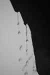 <img100*0:stuff/z/73640/rainwater%2520reference/i1275877948_19.jpg>