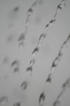 <img100*0:stuff/z/73640/rainwater%2520reference/i1275877948_23.jpg>