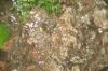 <img100*0:stuff/z/73640/rainwater%2520reference/i1275877948_25.jpg>