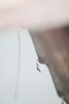 <img100*0:stuff/z/73640/rainwater%2520reference/i1275877948_26.jpg>