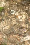 <img100*0:stuff/z/73640/rainwater%2520reference/i1275877948_29.jpg>