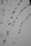 <img100*0:stuff/z/73640/rainwater%2520reference/i1275877948_31.jpg>