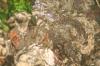 <img100*0:stuff/z/73640/rainwater%2520reference/i1275877949_33.jpg>