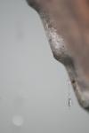 <img100*0:stuff/z/73640/rainwater%2520reference/i1275877949_34.jpg>