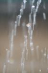 <img100*0:stuff/z/73640/rainwater%2520reference/i1275877949_35.jpg>