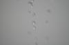 <img100*0:stuff/z/73640/rainwater%2520reference/i1275877949_39.jpg>