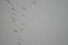 <img100*0:stuff/z/73640/rainwater%2520reference/i1275879241_1.jpg>