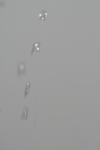 <img100*0:stuff/z/73640/rainwater%2520reference/i1275879241_4.jpg>