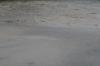<img100*0:stuff/z/73640/rainwater%2520reference/i1275879242_15.jpg>