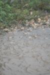 <img100*0:stuff/z/73640/rainwater%2520reference/i1275879243_19.jpg>