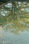 <img100*0:stuff/z/73640/reflections%2520reference/i1257803960_2.jpg>