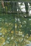 <img100*0:stuff/z/73640/reflections%2520reference/i1257803960_4.jpg>