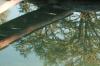 <img100*0:stuff/z/73640/reflections%2520reference/i1257803960_7.jpg>