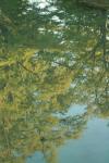 <img100*0:stuff/z/73640/reflections%2520reference/i1257803960_8.jpg>