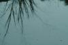 <img100*0:stuff/z/73640/reflections%2520reference/i1257803961_10.jpg>