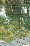 <img100*0:stuff/z/73640/reflections%2520reference/i1257803961_11.jpg>