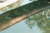 <img100*0:stuff/z/73640/reflections%2520reference/i1257803961_13.jpg>